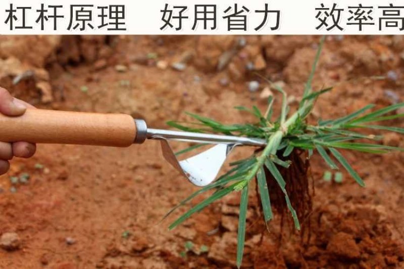 拔草神器起根器拔草器家用铁铲挖草野菜神器松土园艺起根器移