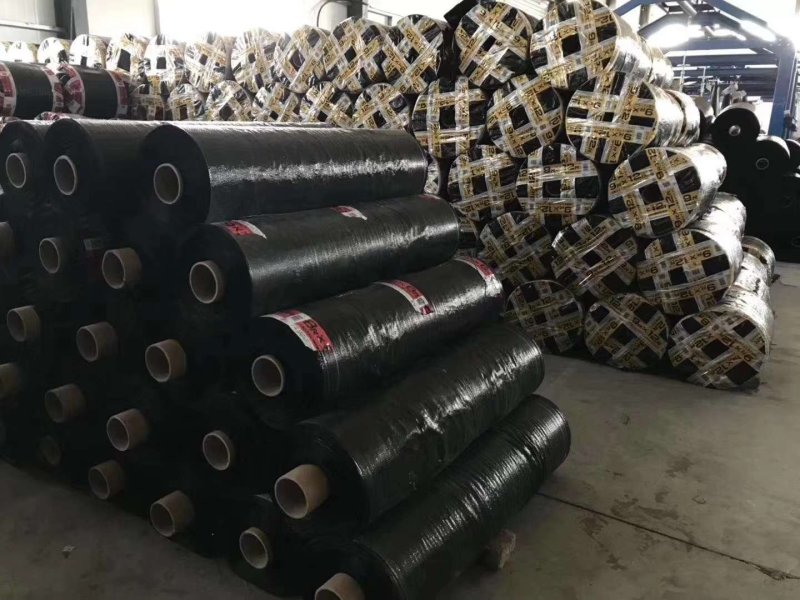 果树防草布可使用3-5年农场防草地布生产厂家直销