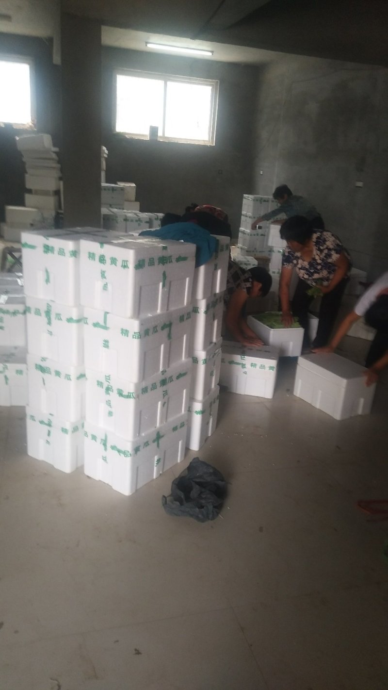 青扁豆大量上市，对接电商超市等，品质保证，可视频看货