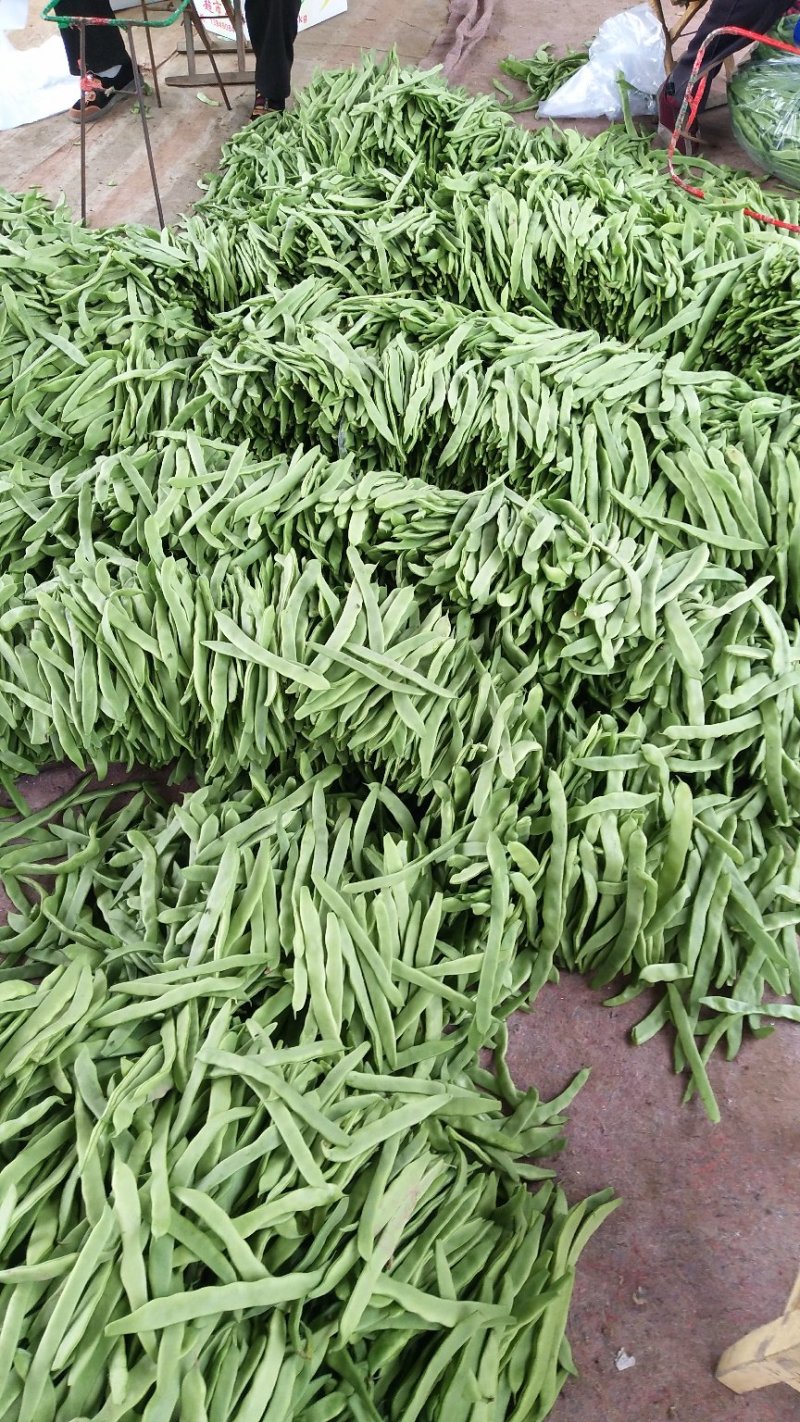 青扁豆大量上市，对接电商超市等，品质保证，可视频看货