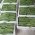 青扁豆大量上市，对接电商超市等，品质保证，可视频看货