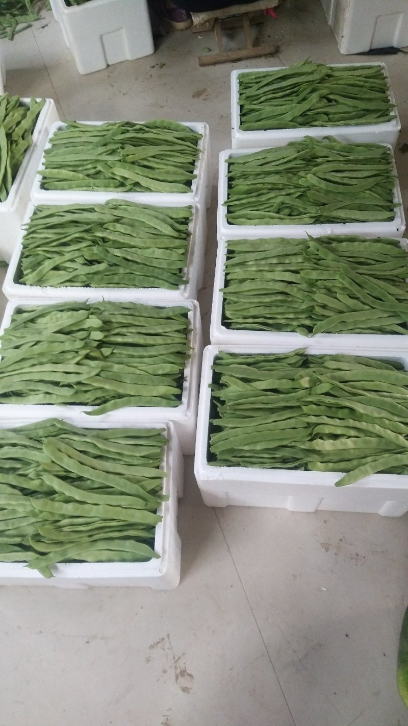 青扁豆大量上市，对接电商超市等，品质保证，可视频看货