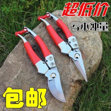 进口修枝剪刀树枝剪包邮