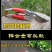 进口修枝剪刀树枝剪包邮