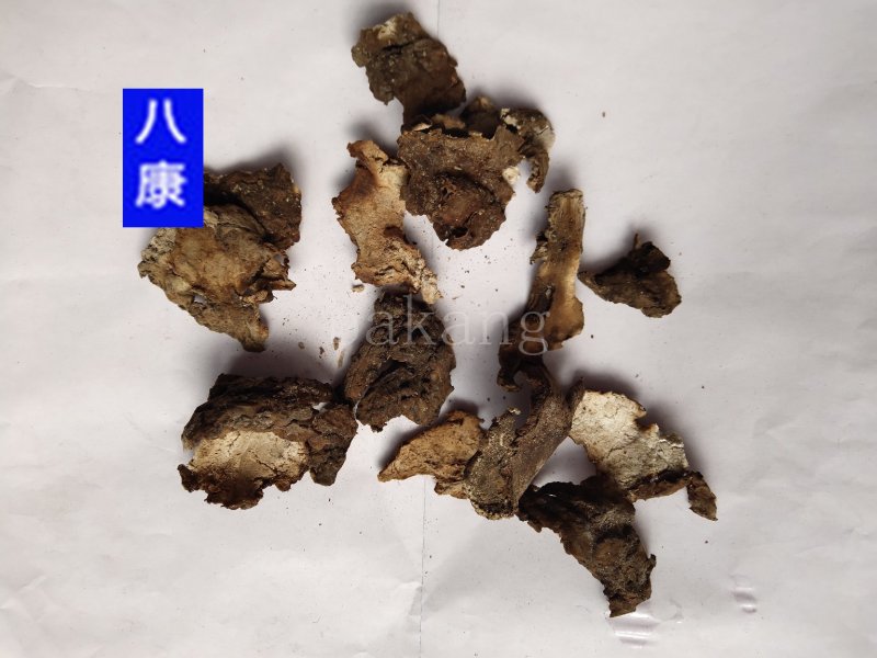 茯苓皮统货批发零售品种齐全诚信经营质量保证
