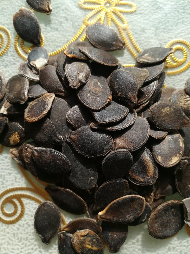 药用芹菜籽，黑南瓜籽