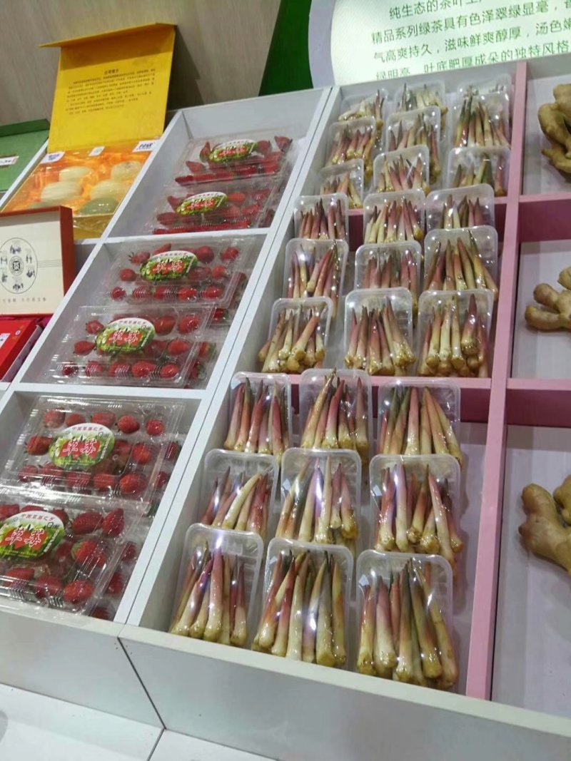 阳荷笋