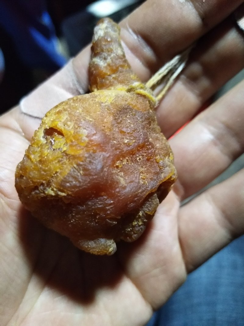 鸡宝