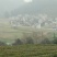 200亩山地出租