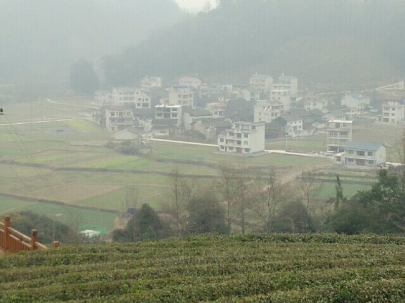 200亩山地出租