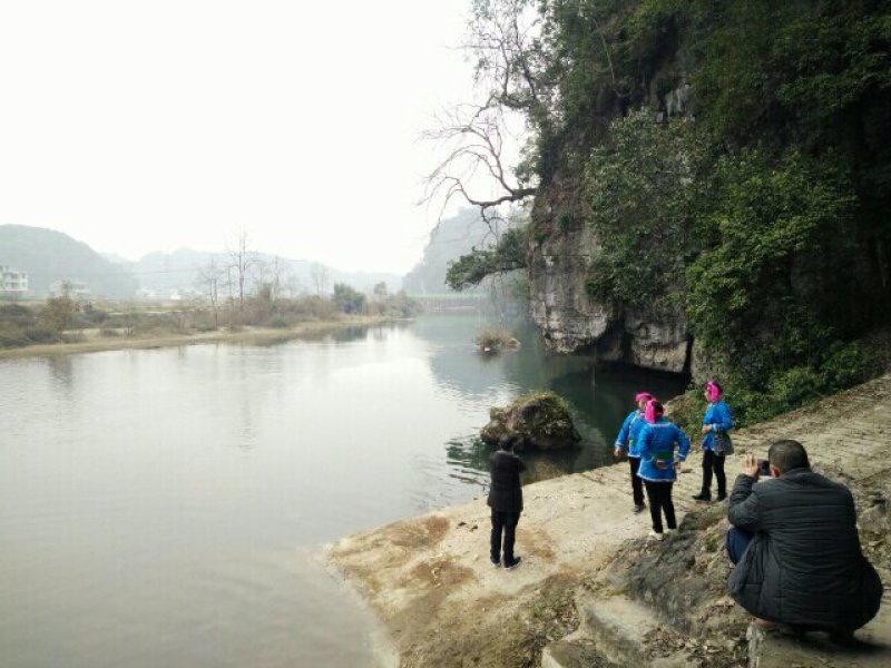 200亩山地出租