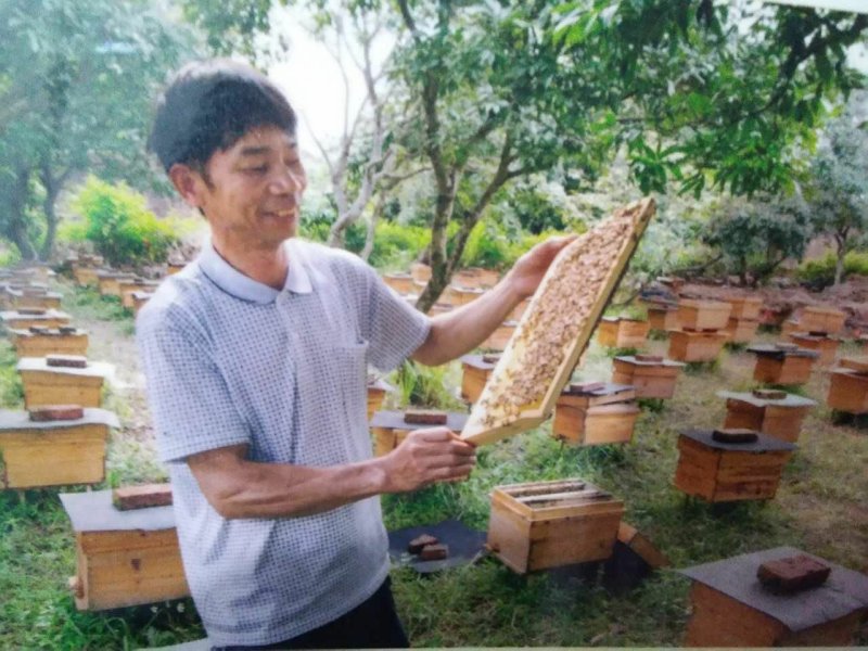 广西钦州市灵山百年荔枝蜜，产自百年荔枝园的土蜂蜜