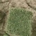 马尼拉草皮