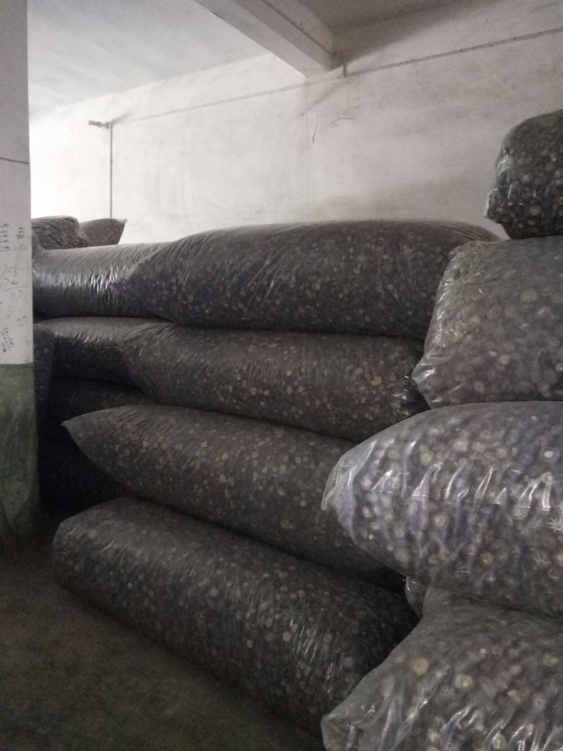 干香菇纯面菇：河南春栽分级成品烤菇批发价包邮。
