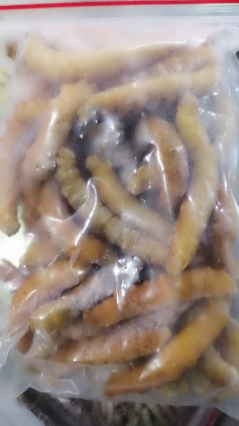 豆虫