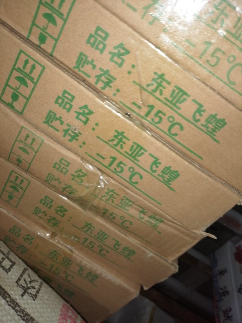 蚂蚱