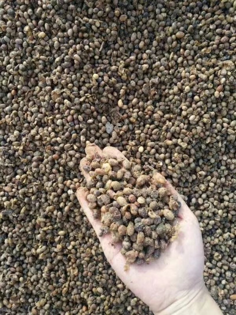 发酵大豆厂价直供质优价廉