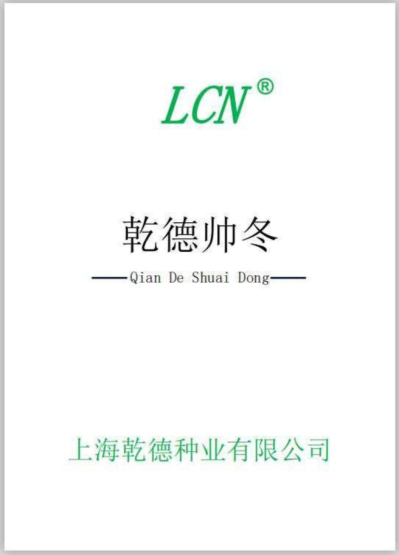 乾德帅冬冬瓜种子绿皮，高产，早熟，口感冬瓜，春秋栽培