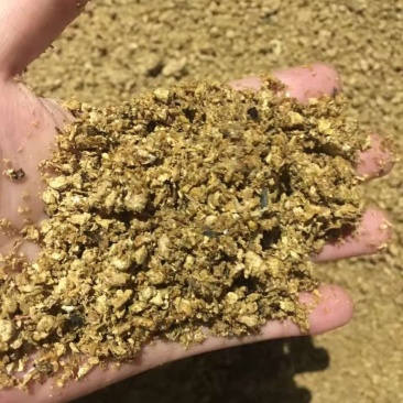 河北邯郸菌渣蘑菇渣有机肥香菇渣，金针菇渣白玉渣