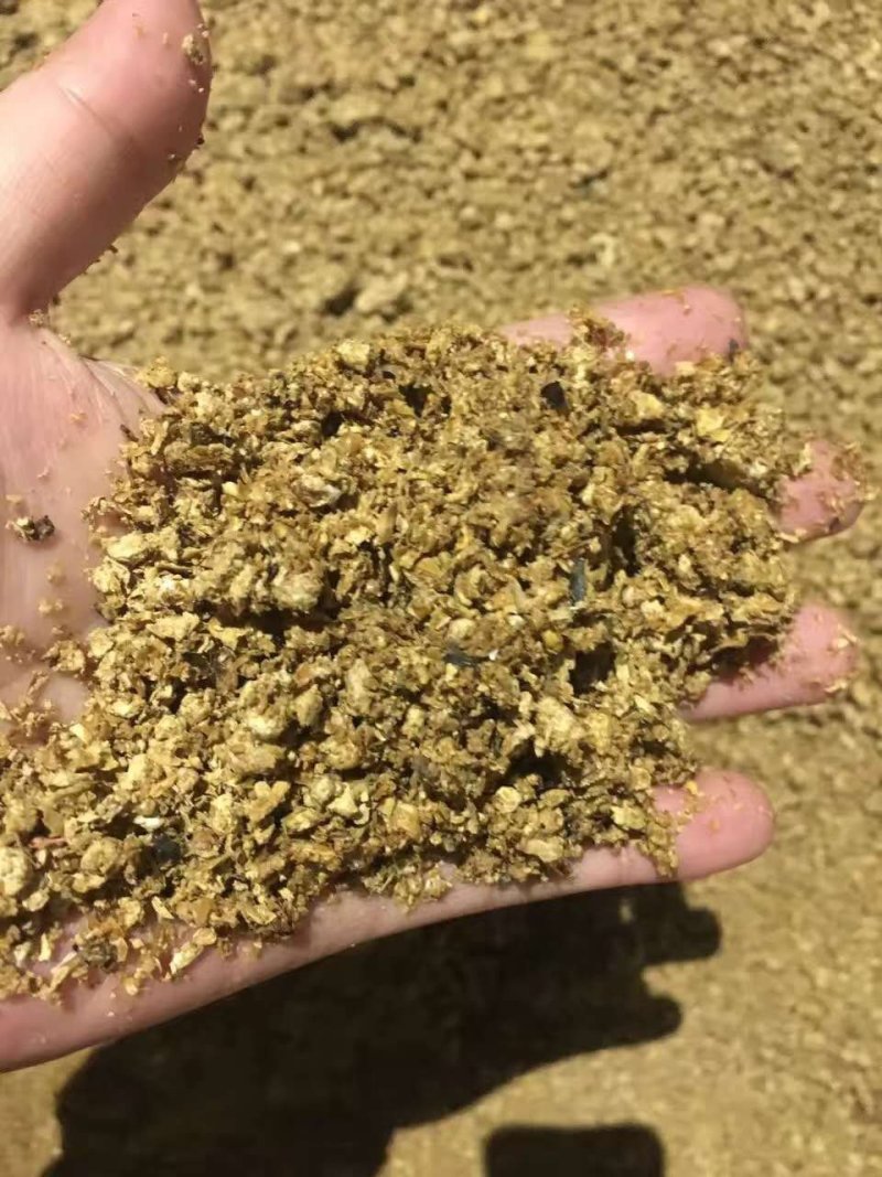 河北邯郸菌渣蘑菇渣有机肥香菇渣，金针菇渣白玉渣
