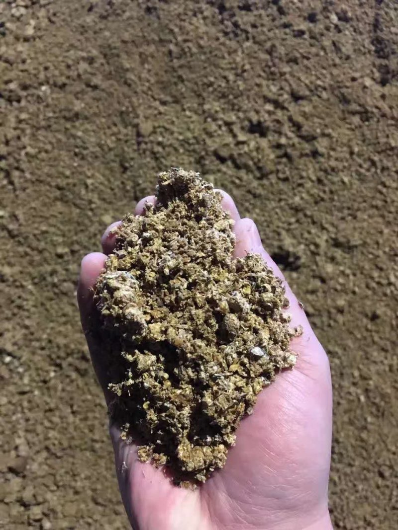 河北邯郸菌渣蘑菇渣有机肥香菇渣，金针菇渣白玉渣