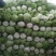 精品北京新三号白菜质量好，全国配货菜绿耐储存