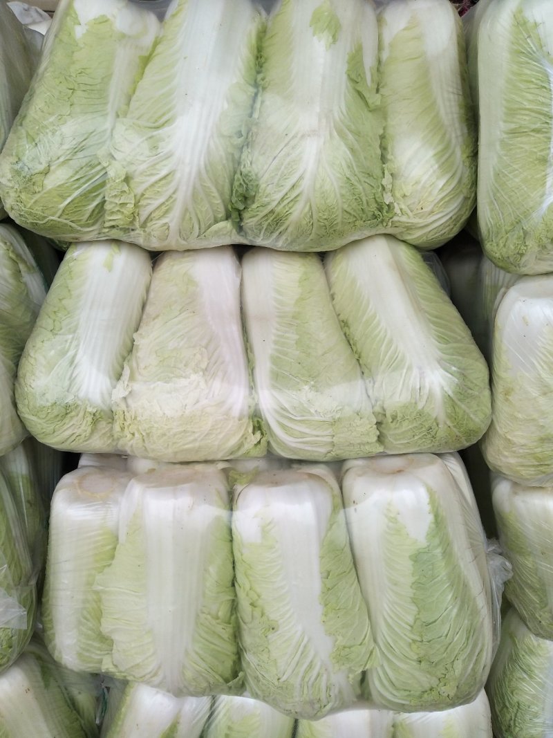 精品北京新三号白菜质量好，全国配货菜绿耐储存