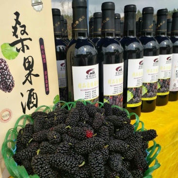 新鲜桑果
