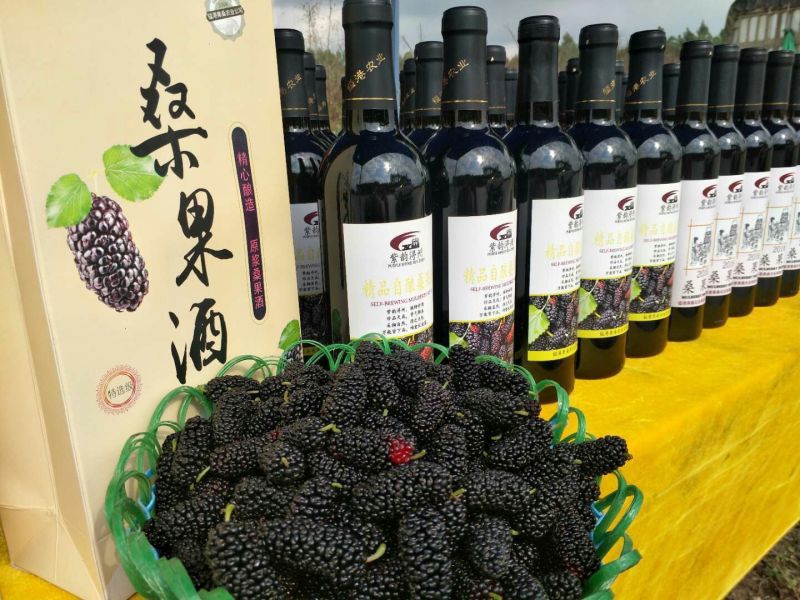 新鲜桑果