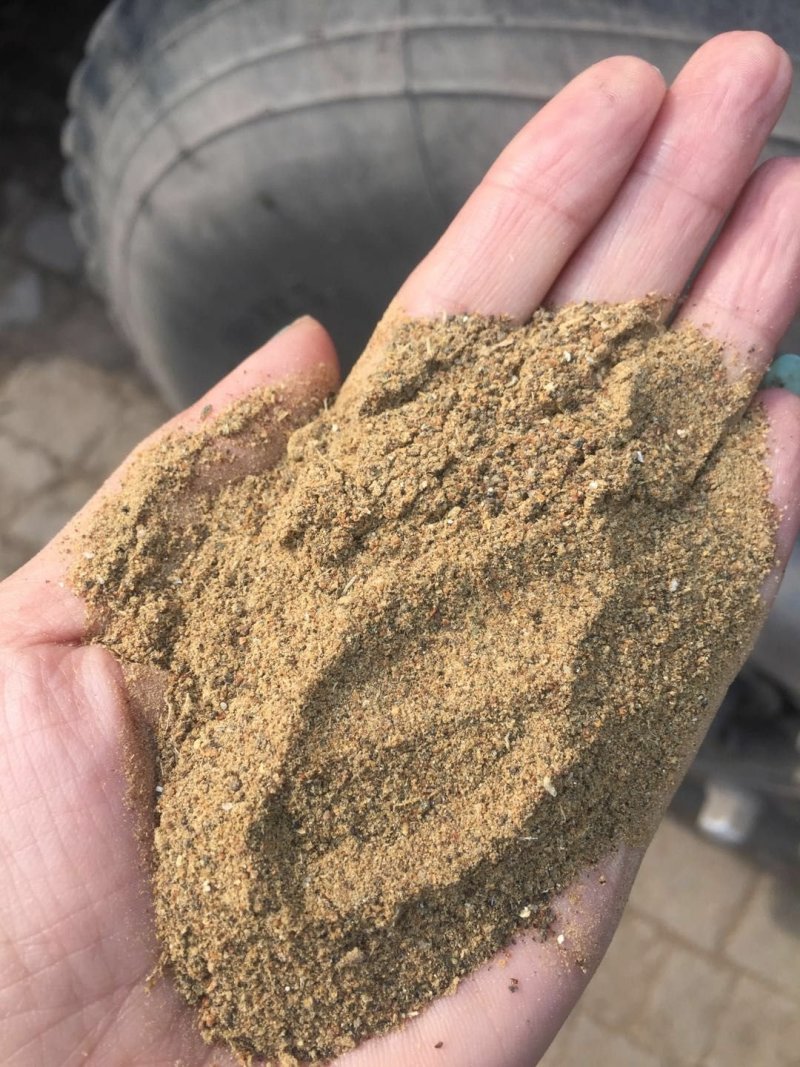 饲料级海螺肉粉扇贝肉粉
