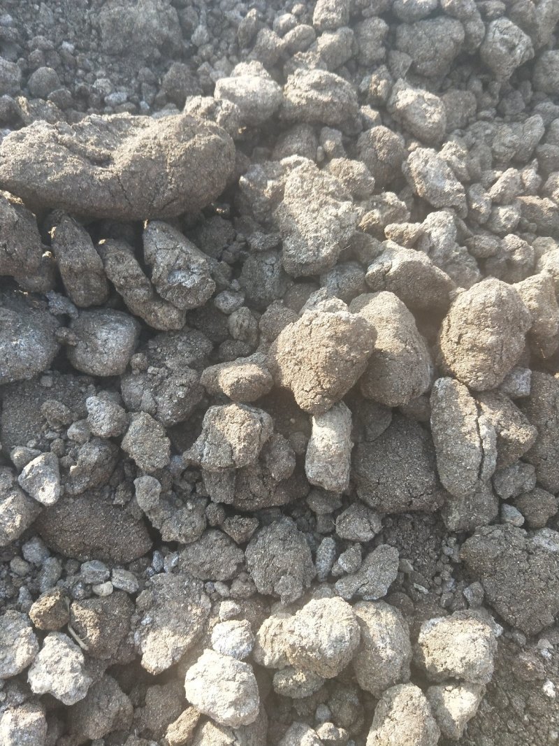 大量干猪粪畜禽粪自然风干发酵猪粪果树蔬菜专用有机肥料