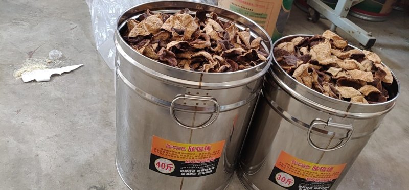 陈皮