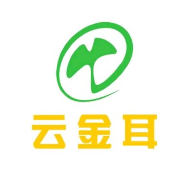 鲜金耳