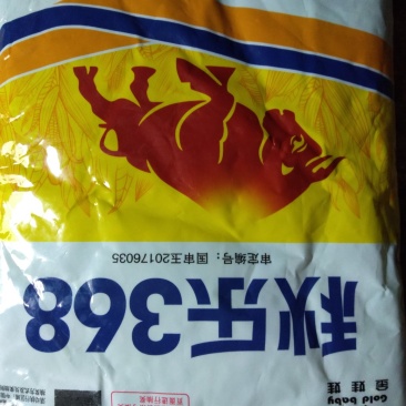 秋乐368/4400粒2017年审订品种