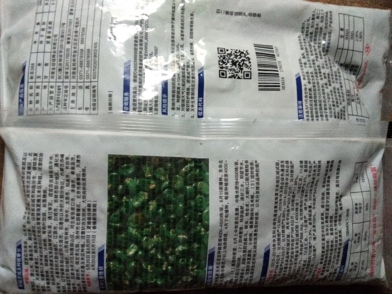 秋乐368/4400粒2017年审订品种
