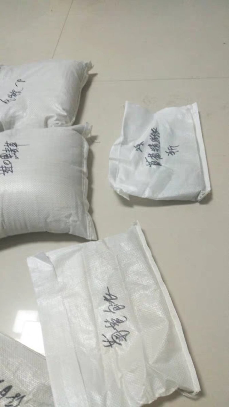 黑麦草种子