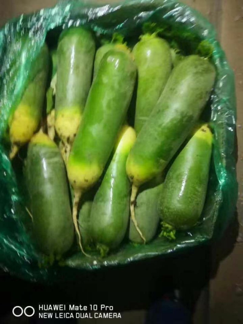 水果萝卜大量供应口感很好