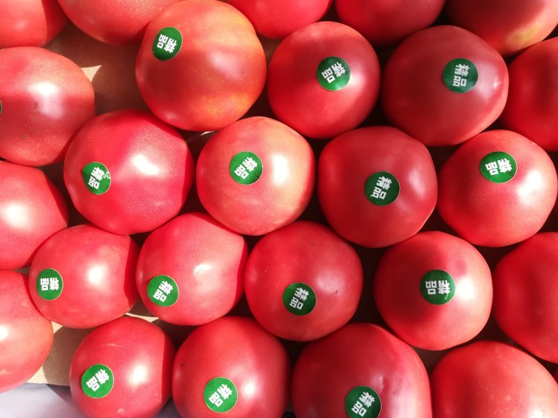 黄瓜，地瓜，西红柿，土豆