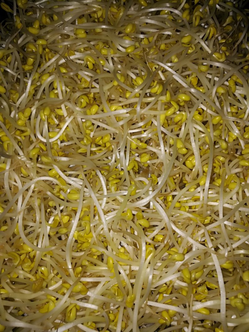 黄瓜，地瓜，西红柿，土豆