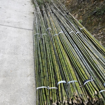 菜架竹，竹包角