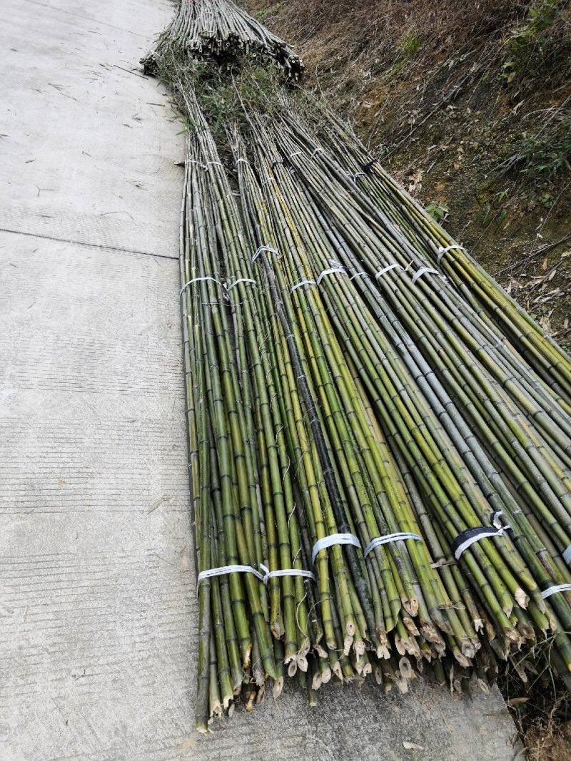 菜架竹，竹包角