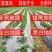 黑地膜银黑地膜白地膜可以视频看货！包运费