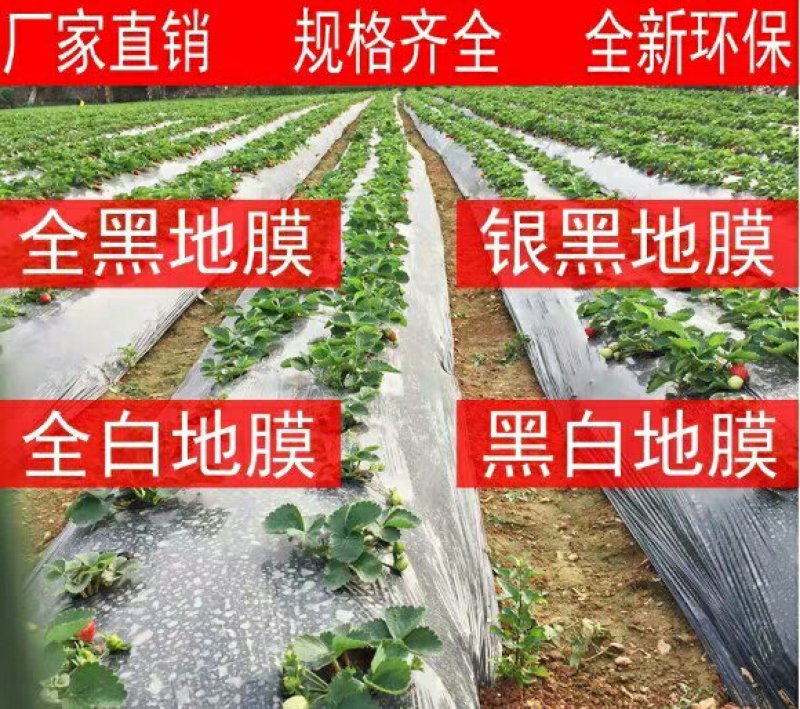 黑地膜银黑地膜白地膜可以视频看货！包运费