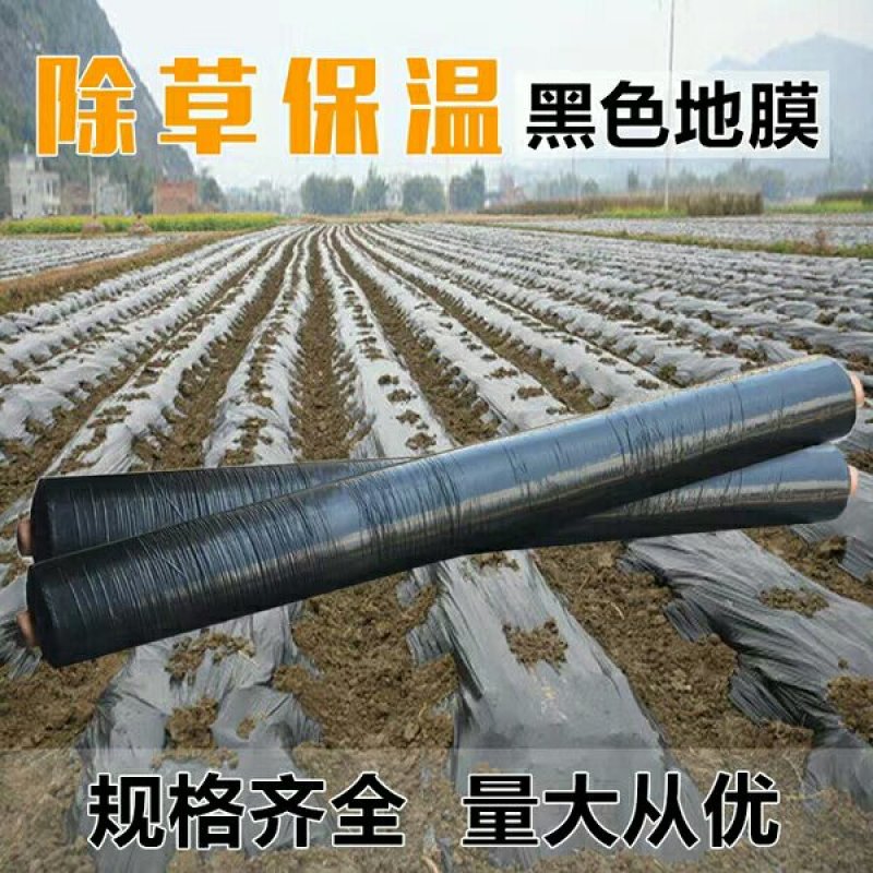 黑地膜银黑地膜白地膜可以视频看货！包运费