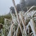 香辣豆腐干