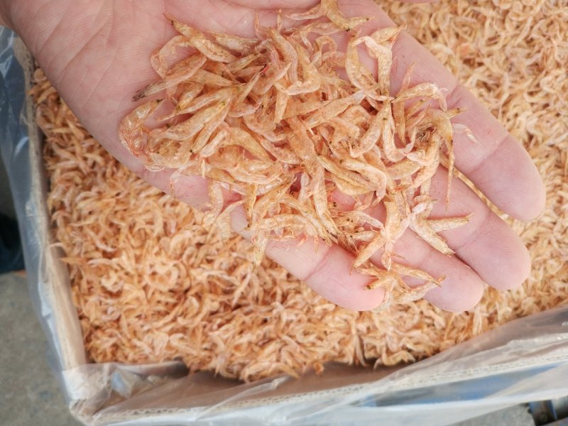 大红虾皮，淡干，无沙