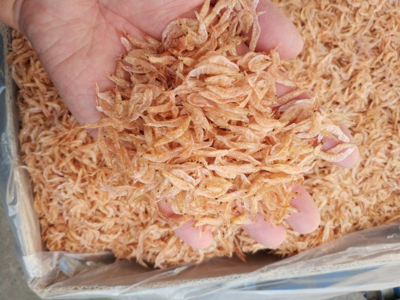 大红虾皮，淡干，无沙