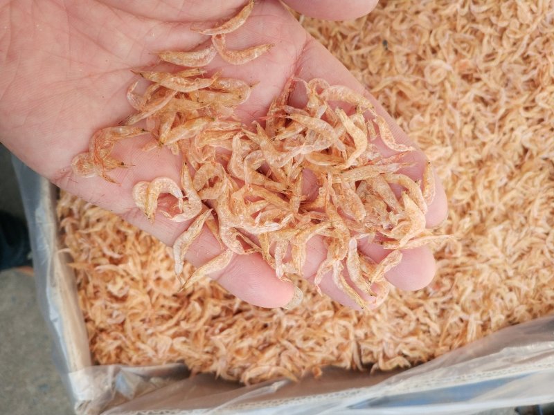 大红虾皮，淡干，无沙
