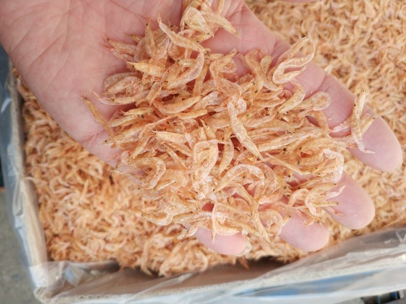 大红虾皮，淡干，无沙