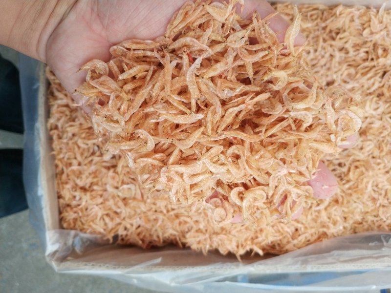 大红虾皮，淡干，无沙